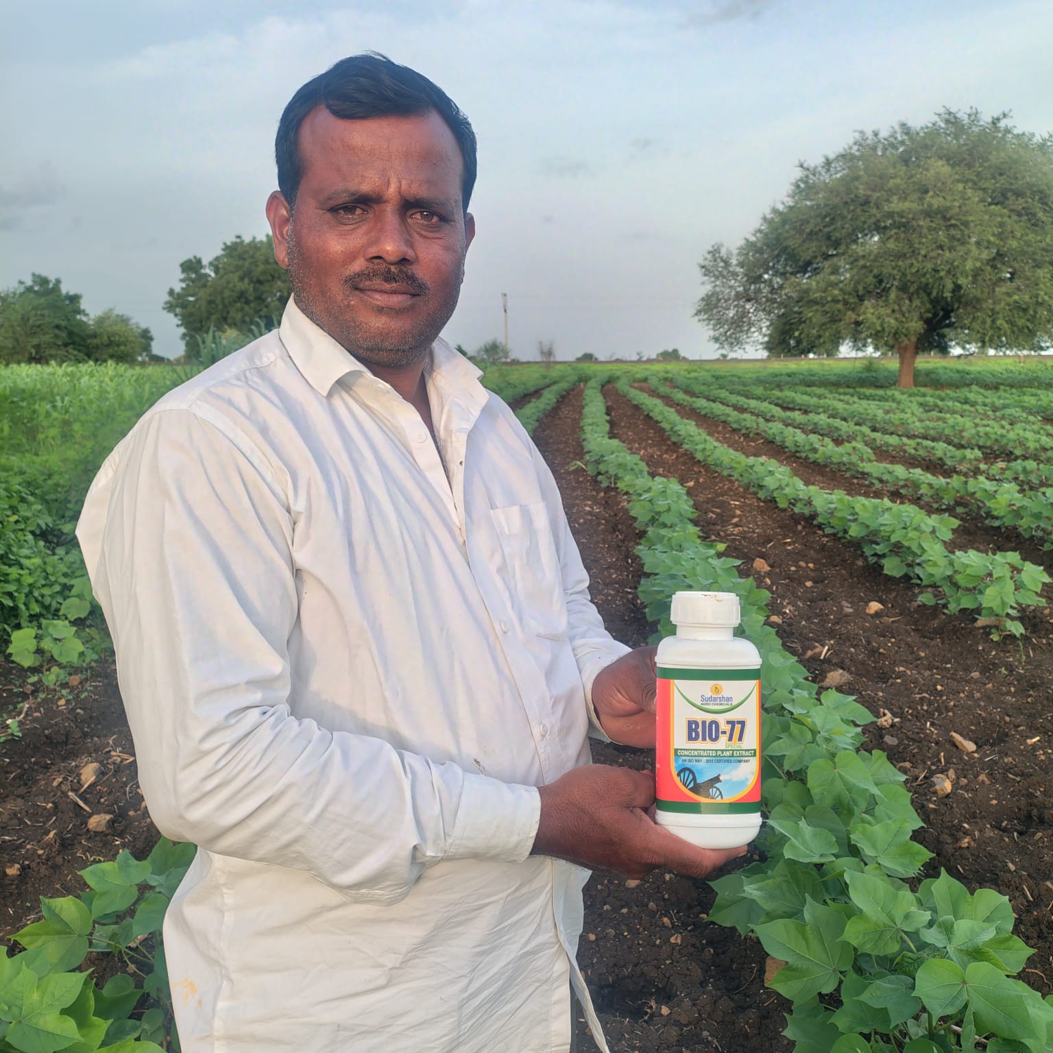 Rohidas Pawar holding BIO-77 in cotton crop field